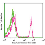 FITC anti-rat CD4 (domain 1)