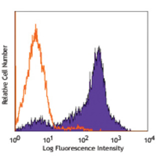 Purified anti-rat CD44H (Pgp-1, H-CAM)