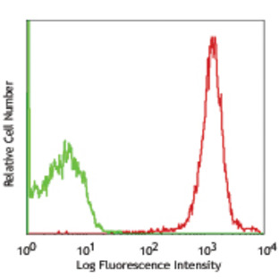 PE anti-rat CD47