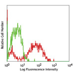 FITC anti-rat Endothelium