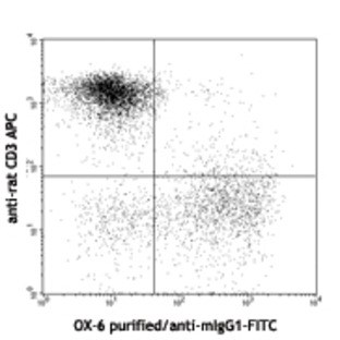 Purified Anti-rat RT1B