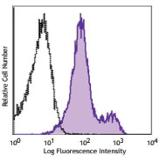 PE anti-rat CD1d