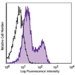 Purified anti-rat CD1d