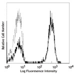 Purified anti-human CD3