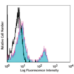 Purified anti-human CD40