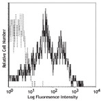 Purified anti-human CD95 (Fas)