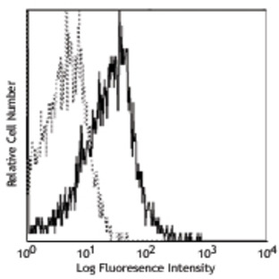 Biotin anti-human CD178 (Fas-L)