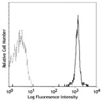 PE anti-human CD235ab