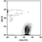 Purified anti-human CD193 (CCR3)