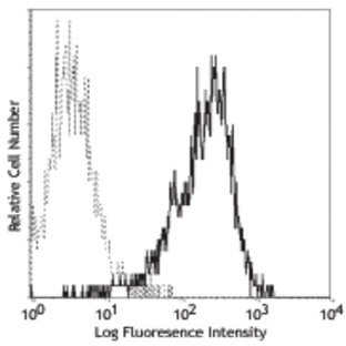 Purified anti-human 4-1BB Ligand (CD137L)