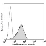 Purified anti-human CD267 (TACI)