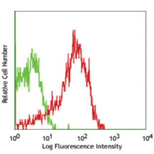 Purified anti-human CD63