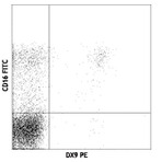 Biotin anti-human CD158e1 (KIR3DL1, NKB1)