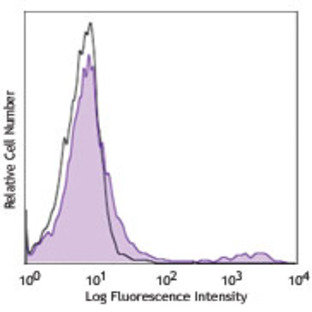 Purified anti-human/mouse Cutaneous Lymphocyte Antigen (CLA)