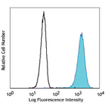 Pacific Blue(TM) anti-human CD15 (SSEA-1)