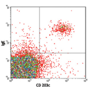 Biotin anti-human CD203c (E-NPP3)