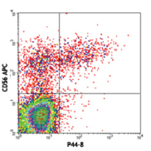 Biotin anti-human CD336 (NKp44)