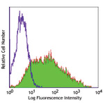 Purified anti-human SSEA-4