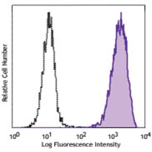 Purified anti-human EGFR