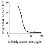 LEAF(TM) Purified anti-human CD197 (CCR7)