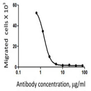 LEAF(TM) Purified anti-human CD197 (CCR7)