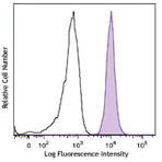 Purified anti-human CLEC12A