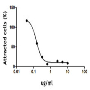 LEAF(TM) Purified anti-human CD183 (CXCR3)