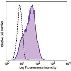 Purified anti-human Tim-4