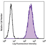 Purified anti-human CD70