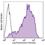 Purified anti-human SSEA-5