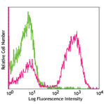 PE/Cy7 Goat anti-mouse IgG (minimal x-reactivity)