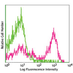 PE/Cy7 Goat anti-rat IgG (minimal x-reactivity)