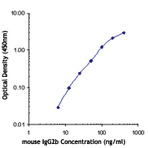 Biotin anti-mouse IgG2b