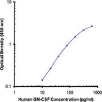 Purified anti-human GM-CSF