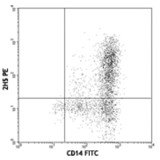 PE anti-mouse/rat/human MCP-1