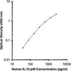 Biotin anti-human IL-12/IL-23 p40