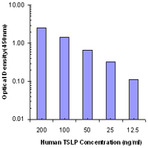 LEAF(TM) Purified anti-human TSLP