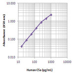 Purified anti-human C5a/C5a(desArg)