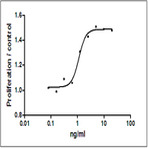 Recombinant Human IL-10 (carrier-free)