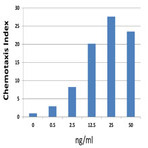 Recombinant Human CXCL5 (ENA-78) (carrier-free)