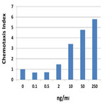 Recombinant Human CXCL10 (IP-10) (carrier-free)