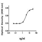 Recombinant Human SCF (carrier-free)