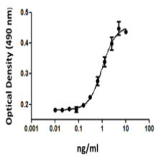 Recombinant Mouse G-CSF (carrier-free)