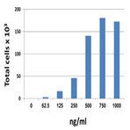 Recombinant Human CXCL13 (carrier-free)