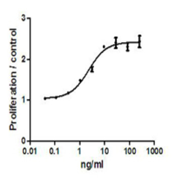 Recombinant mouse IL-13 (carrier-free)