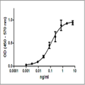 Recombinant mouse IL-12 (p70) (carrier-free)