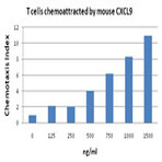 Recombinant Mouse CXCL9 (MIG) (carrier-free)