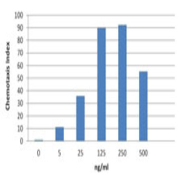 Recombinant Mouse CXCL11 (ITAC) (carrier-free)