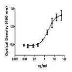 Recombinant Human IL-7 (carrier-free)