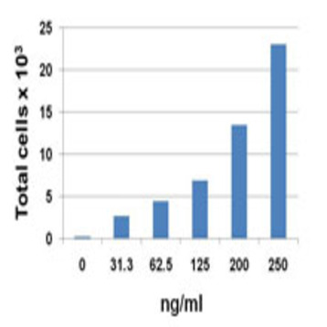 Recombinant Human CCL21 (6CKine) (carrier-free)